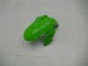 2013-2024 Kawasaki Ninja 300 EX300R Motorcycle Fairings - White Green Black