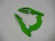 2013-2024 Kawasaki Ninja 300 EX300R Motorcycle Fairings - White Green Black