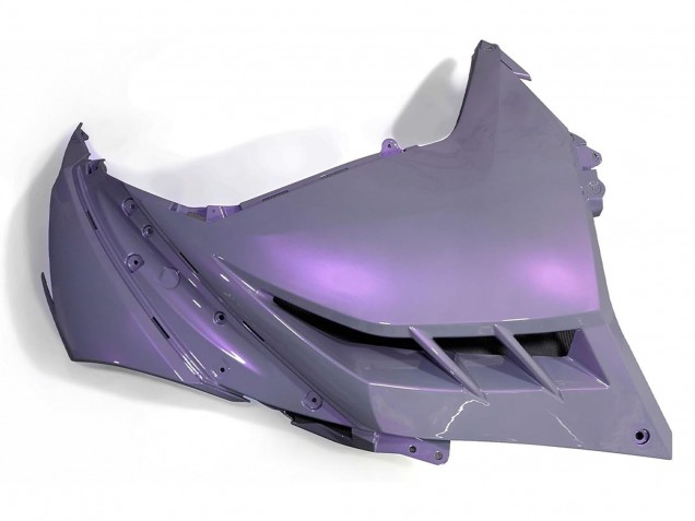 2013-2024 Kawasaki EX300 Motorcycle Fairings - Chameleon Grey Dazz Pearl Purple