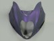 1996-2007 Suzuki GSXR 1300 Hayabusa Motorcycle Fairings - Chameleon Grey Dazz Pearl Purple