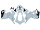 2020-2021 Ducati Panigale V4 V4S Motorcycle Fairings - Unpainted