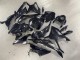 2023-2024 BMW S1000RR Motorcycle Fairings - Glossy Black Carbon Fiber