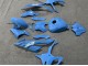 2023-2024 BMW S1000RR Motorcycle Fairings - Glossy Blue