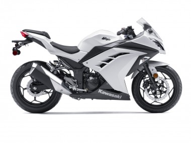 Affordable 2013-2024 Kawasaki EX300 Motorcycle Fairings - White Black