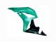 2007-2008 Honda CBR600RR Bike Fairings - Green Glossy Black