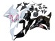 2009-2012 Honda CBR600RR Motorcycle Fairings - White Cherry Blossom Glossy Black