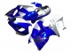 1996-2007 Suzuki GSXR 1300 Hayabusa Motorcycle Fairings - Blue Silver Hayabusa