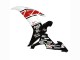 2002-2003 Yamaha YZF 1000 R1 Motorcycle Fairings - White Red Black Castrol