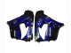 2000-2001 Kawasaki ZX9R Motorcycle Fairings - Glossy Black Blue Flame White