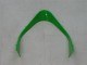 2000-2001 Kawasaki ZX9R Motorcycle Fairings - Green Silver Black
