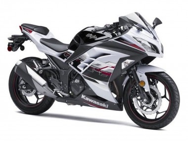 Affordable 2013-2024 Kawasaki EX300 Motorcycle Fairings - White Black Red Accents