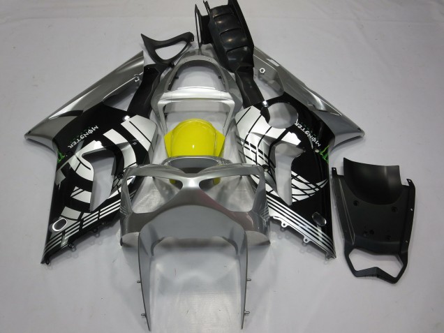 Custom Special 03-04 Kawasaki ZX6R Fairings