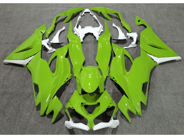 Gloss Green & White 19-23 Kawasaki ZX6R Fairings Gloss Green & White 19-23 Kawasaki ZX6R Fairings