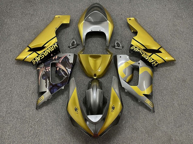 Gold and Silver 05-06 Kawasaki ZX6R Fairings Gold and Silver 05-06 Kawasaki ZX6R Fairings